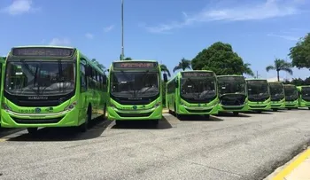 Omsa pondrá en circulación 98 guaguas