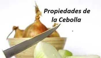 7 Propiedades de la cebolla que no conoces.