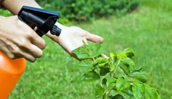 Cómo funcionan los insecticidas orgánicos ¡Mejor explicado imposible!