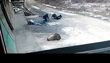 IMAGENES FUERTES: Un jabalí ataca a un grupo de personas en China