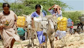 Los ecuatorianos buscan comida y agua tras terremoto