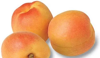Pera: Un fruto multivitaminico; laxante natural; cuerpo limpio e hidratado; otras propiedades y beneficios 