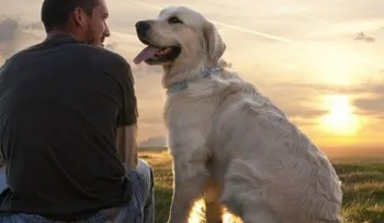 Descubren por qué el perro es el amigo más fiel 
