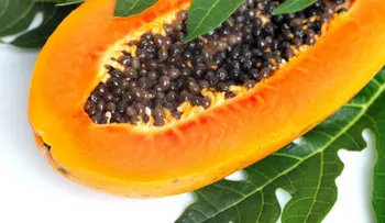 Esto es muy importante: ¿Para que sirven las semillas de papaya o lechosa ?