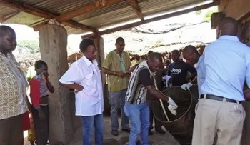 Sube a 72 cifra de muertos por cerveza contaminada en Mozambique 