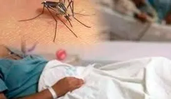 Comparte y ayuda a evitar muertes por dengue