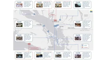 El misterio de los pies desmembrados que siguen apareciendo en las playas de Canadá