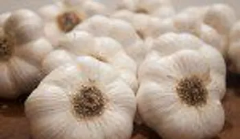 ¡Cuídate! Beneficios que te brinda un diente de ajo diario
