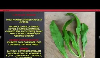 Cómo eliminar de forma MUY efectiva el Colesterol, Trigliceridos y perder peso 