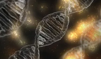  Crean el mayor árbol genealógico más grande del mundo