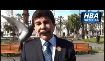 Palomas atacan alcalde cuando decía que planea erradicarlas (VIDEO)