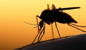 ¿Cómo podemos prevenir el Virus del Zika?
