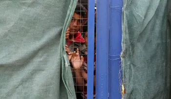¡Bienvenidos!: Los neerlandeses reciben refugiados con cabezas de cerdo (VIDEO FUERTE)