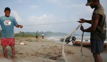 Hallan nueve cadáveres en playas del oeste colombiano