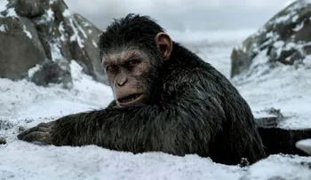 Una épica fascinante War for the Planet of the Apes