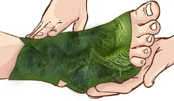 Un vendaje con hojas de repollo para aliviar el dolor en las articulaciones