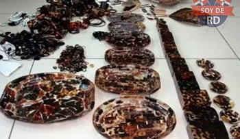 Decomisan artesanías fabricadas con concha de carey