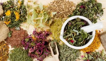 15 plantas medicinales que arruinarían las farmacéuticas