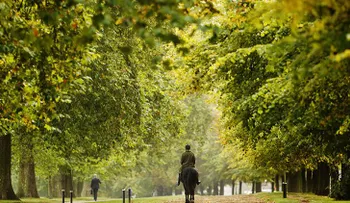 El calentamiento global está adelantando cada año más la primavera