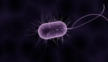 Qué es el microbioma y por qué abre la puerta a curar enfermedades