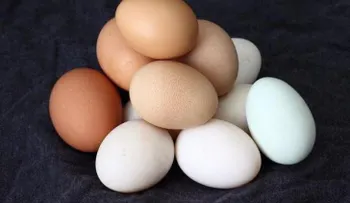 ¿Cómo congelar los huevos que te han sobrado?