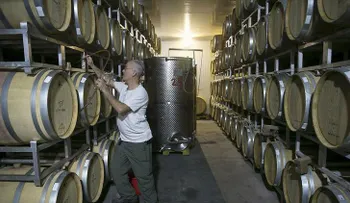 Científicos tratan de recrear el vino de la época de Jesús