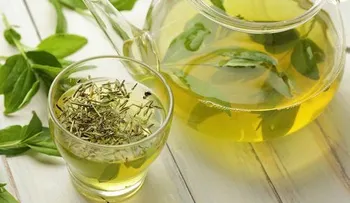 Los beneficios del té verde y sus ventajas