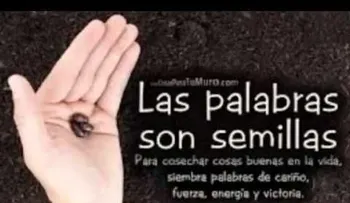 Mujer de Impacto - El Poder de tus Palabras (VIDEO)