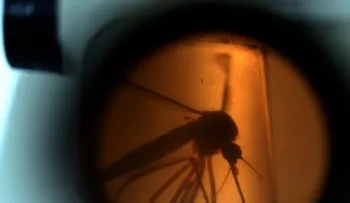 Computan el primer caso de contagio de zika de una mujer a un hombre por vía sexual