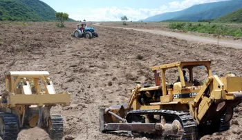 RD exportará ajíes de Duvergé hacia Estados Unidos y Europa