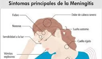 Vacunación "gratuita y obligatoria" indispensable en la lucha contra la meningitis