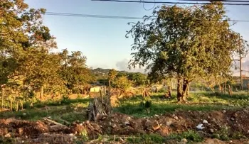 Destruyen viviendas durante desalojo en Puerto Plata