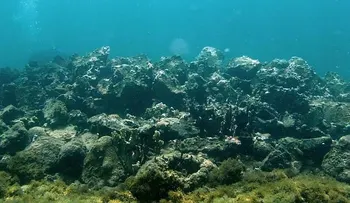 Expertos encuentran cerca de Haití la Santa María de Cristóbal Colón 