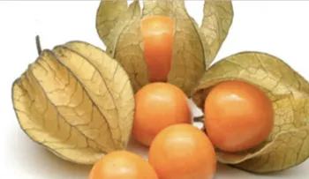 Esta pequeña fruta es un tesoro: cura la próstata, combate el estreñimiento y previene el cáncer de estómago, colon e intestino