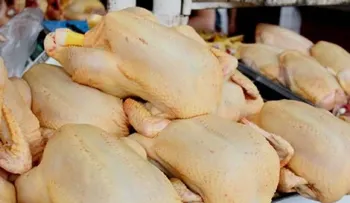 Organizaciones rechazan alzas en precios carne de pollo