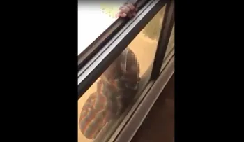 Una mujer graba a su empleada doméstica mientras cae por la ventana sin prestarle ayuda