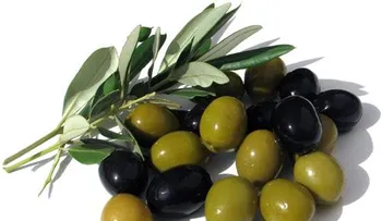 Rebajé 8 libras en solo 3 días y rejuvenecí mi piel con esta receta de aceitunas 