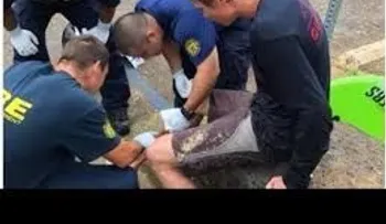 Un hombre fue atacado por un tiburón, una serpiente, dos monos, le cayó un rayo y sobrevive