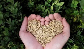 Mitos sobre la comida que ya debes conocer
