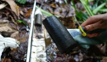 Descubren en el Congo un tesoro natural del tamaño de Inglaterra