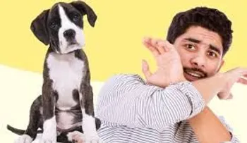 Cinofobia: miedo irracional a los perros; padece un 9 por ciento población mundial