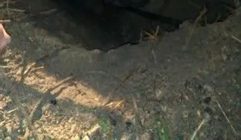 Residentes en lugar donde hallaron dos cadáveres en El Seibo escucharon disparos y una avioneta 