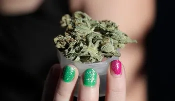 Desmantelan sitio web de venta de drogas