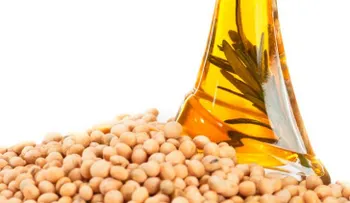 La Soya un alimento para incorporar a la dieta