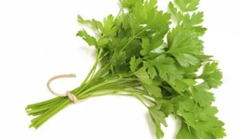 5 remedios para aliviar el dolor de muelas