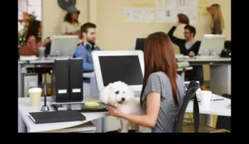 10 beneficios de llevar a tu mejor amigo al trabajo