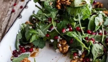 Como combinar lo vegetales que aportan proteínas
