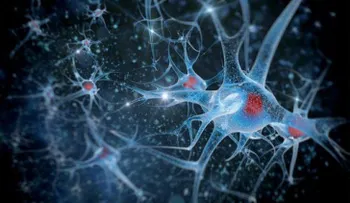 8 hábitos que afectan tu salud cerebral 