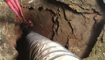 Si se ponían ¨brutos´´ los maltrataban y luego los tiraban vivos en la fosa