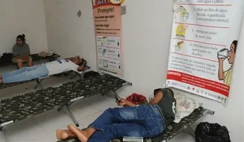 Este año hubo siete mil casos de dengue y 47 muertos